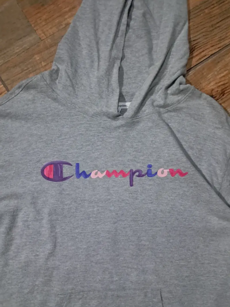 Polerón con capucha gris Champion para hombre - 2
