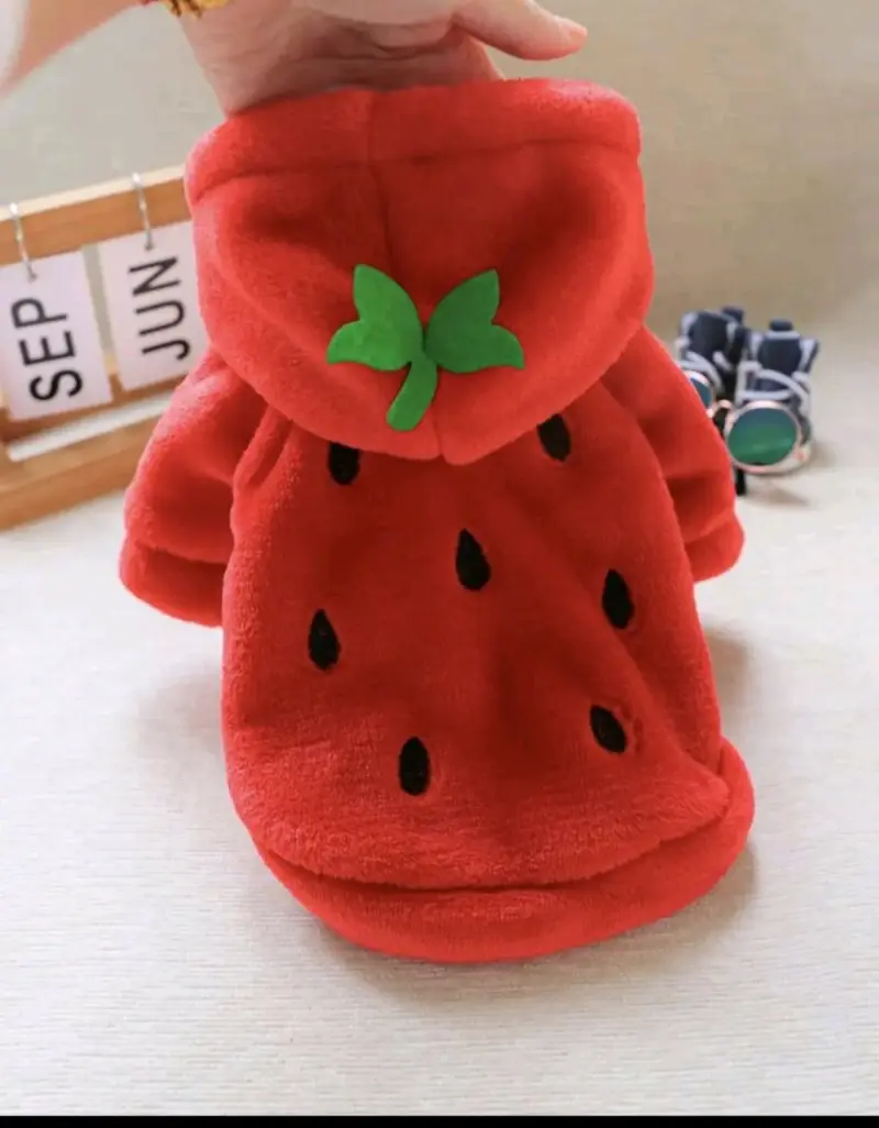 Abrigo para perro diseño sandía rojo