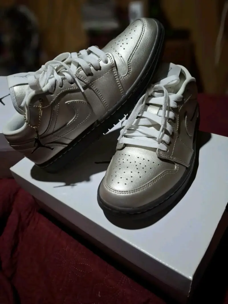 Zapatillas deportivas platedas Air Jordan - 6