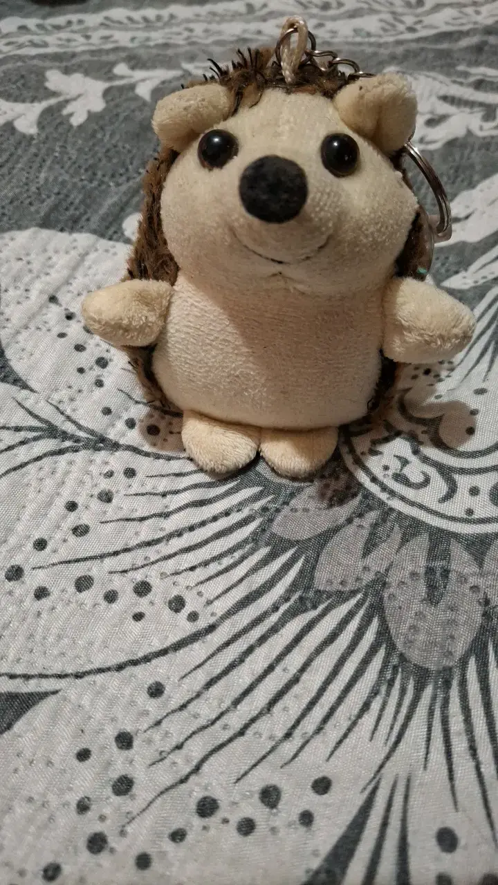 Llavero de peluche erizo suave - 1
