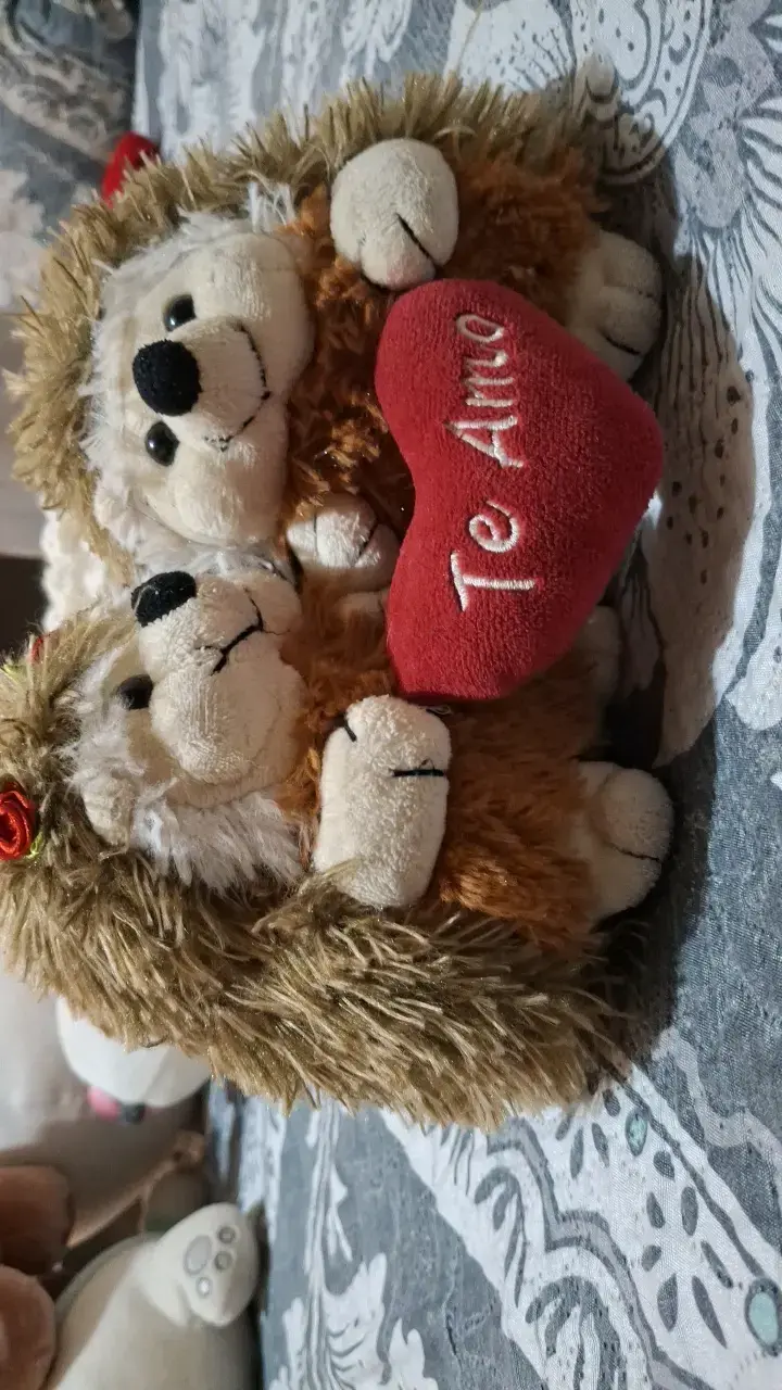 Peluches de erizos con corazón 'Te Amo' - 1