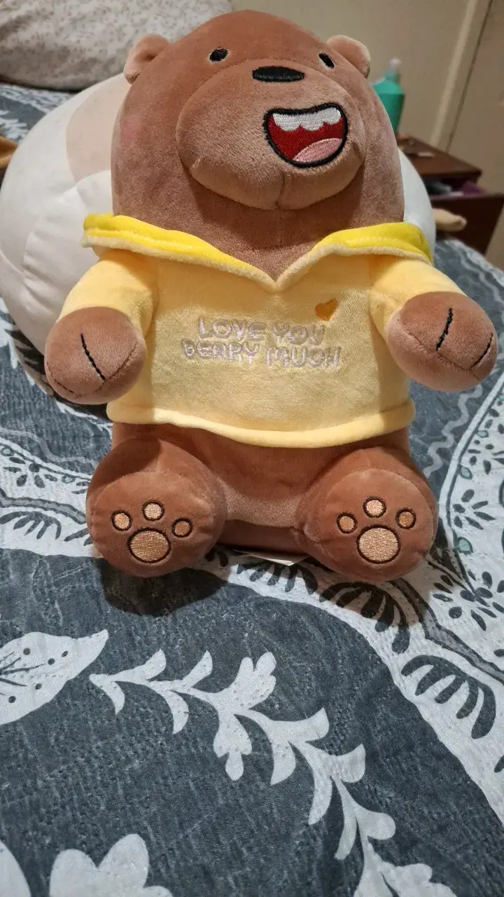 Peluche Pardo de We Bare Bears Miniso - 1