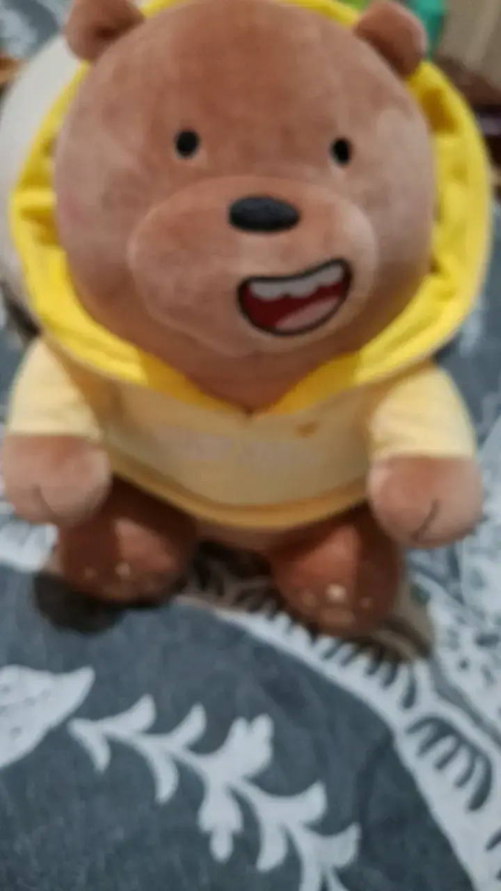 Peluche Pardo de We Bare Bears Miniso - 3