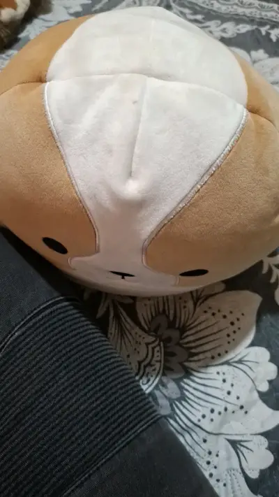 Peluche Squishmallows perro suave y tierno - miniatura 4