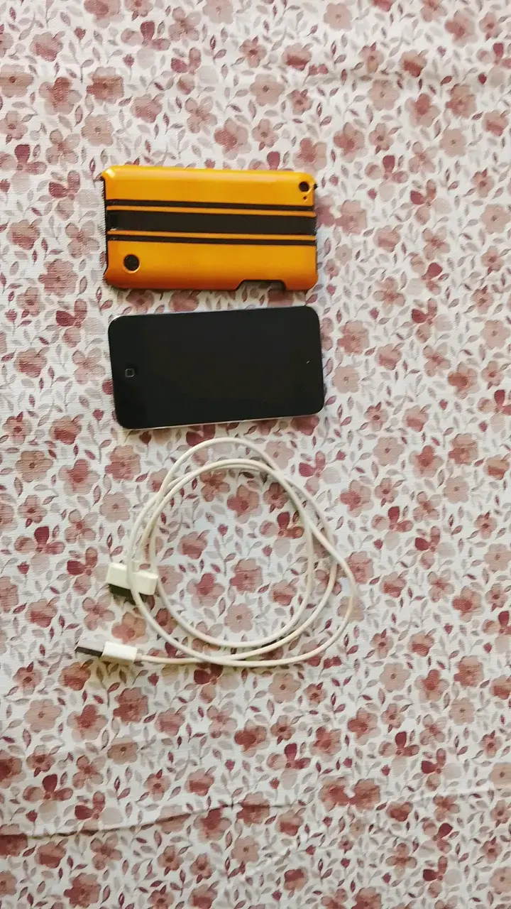 iPod Touch 4th gen con funda y cable original - 1