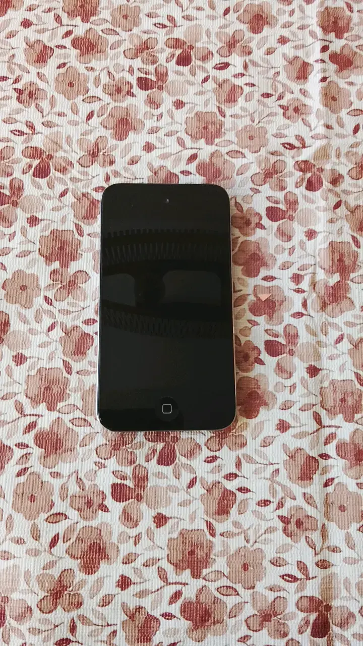 iPod Touch 4th gen con funda y cable original - 2