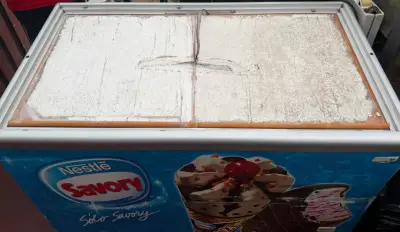 Congelador horizontal Nestlé Savory usado - miniatura 4