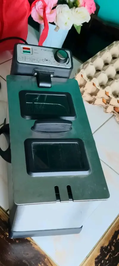 Freidora doble Recco en buen estado - miniatura 1