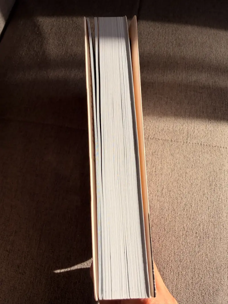 Libro 'Marfil' de Mercedes Ron en buen estado - 2