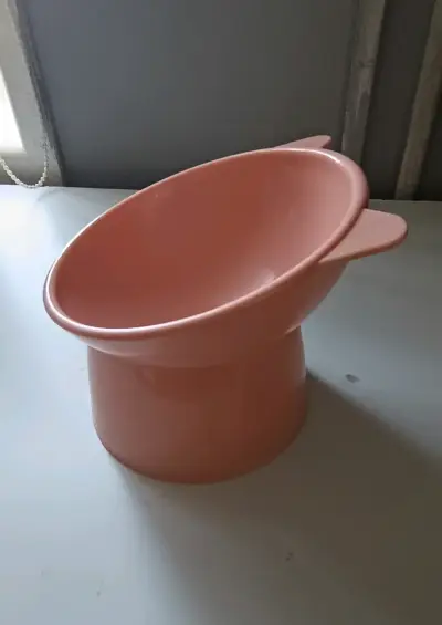 Plato de comida para gato - miniatura 1