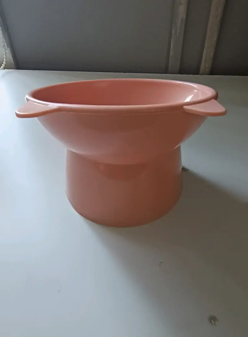 Plato de comida para gato - 2