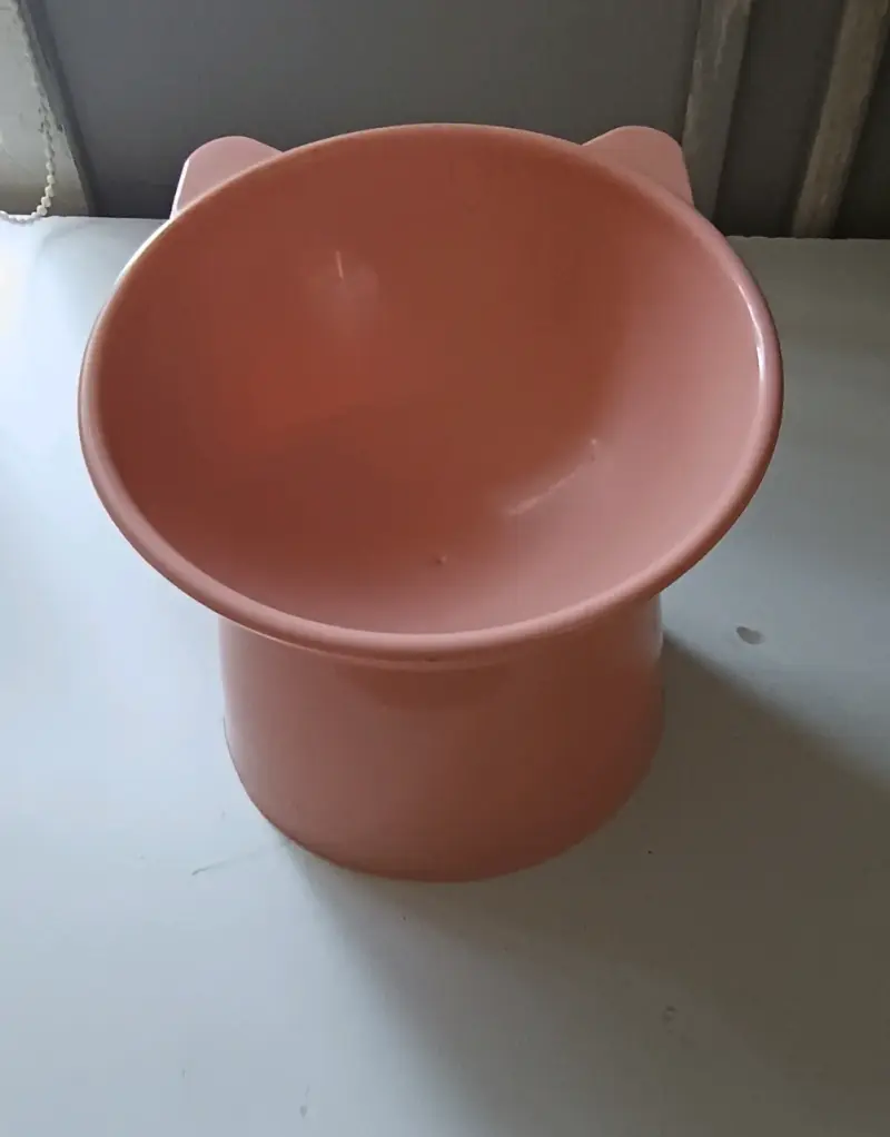 Plato de comida para gato - 3