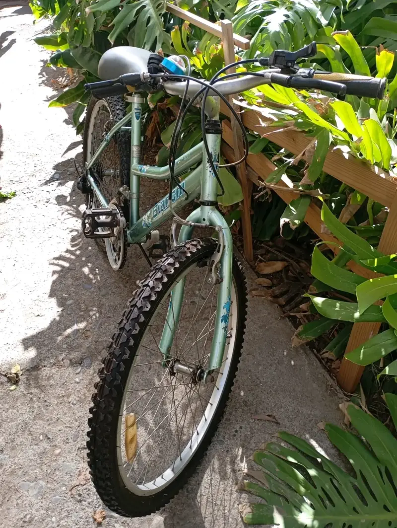Bicicleta MTB Bianchi verde - 2