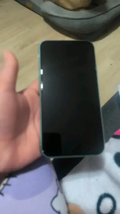 iPhone 11 verde con cable USB-C a Lightning - miniatura 1