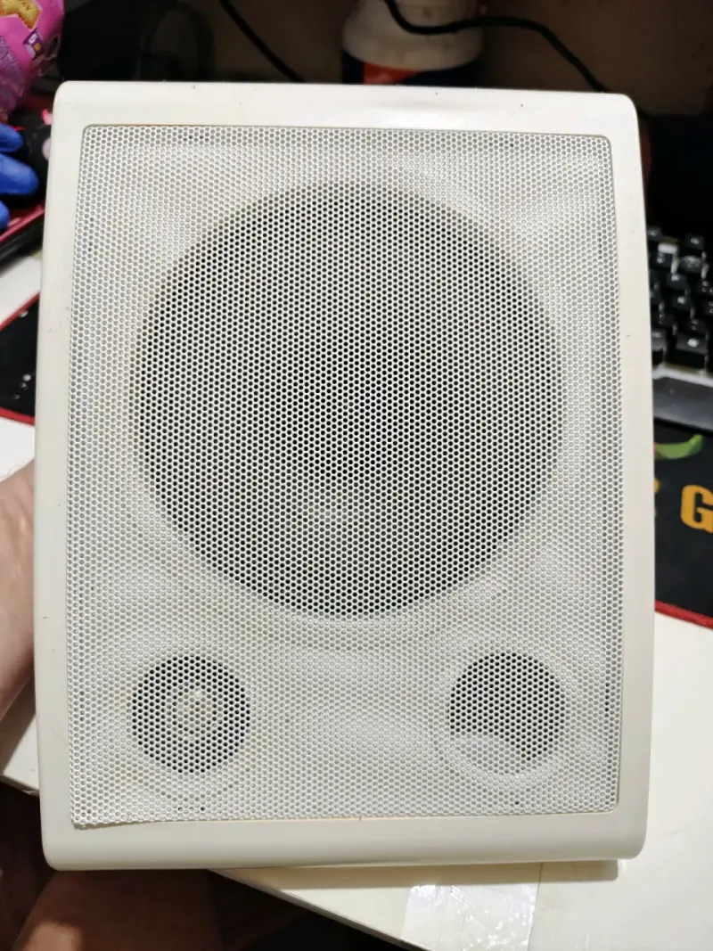 Parlante de satelital con woofer