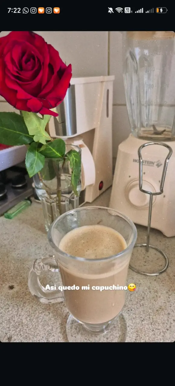 Café Cappuccino Fit FuXion en Sobres - 2