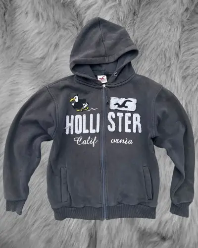 Polerón con capucha Hollister gris - miniatura 1