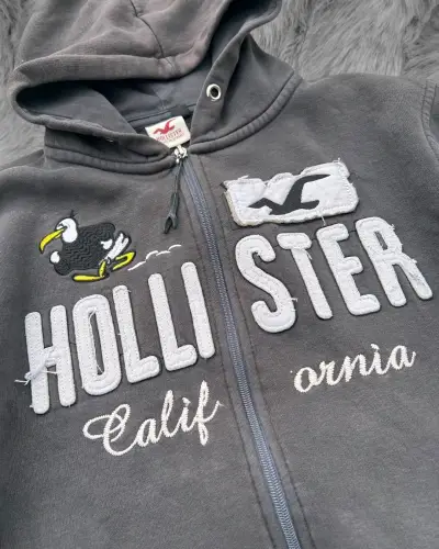 Polerón con capucha Hollister gris - miniatura 2