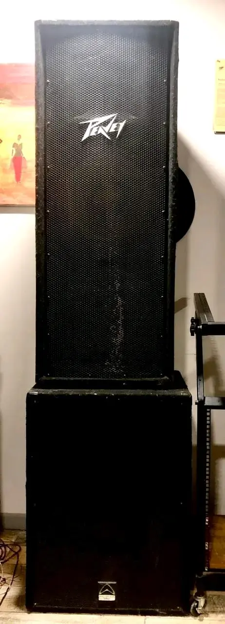 Sistema de Sonido Profesional Peavey con Amplificadores - 6