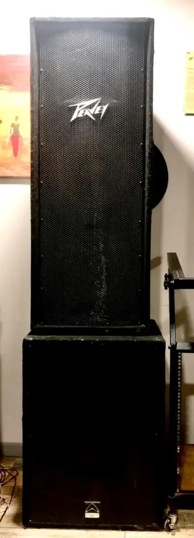 Sistema de Sonido Profesional Peavey con Amplificadores - miniatura 6
