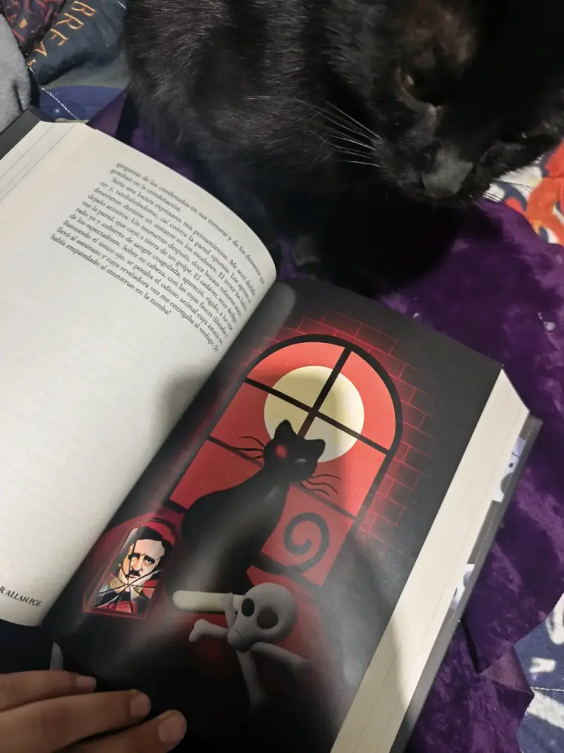Libro Lo Mejor de Edgar Allan Poe Ilustrado - 4