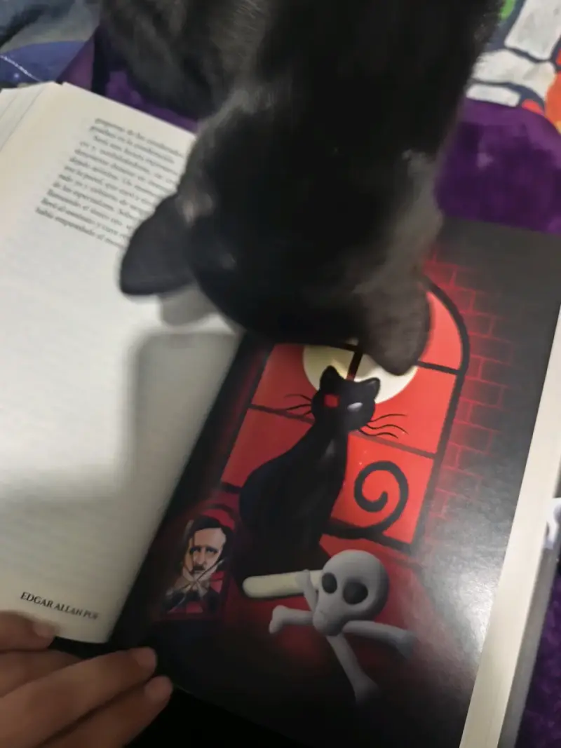 Libro Lo Mejor de Edgar Allan Poe Ilustrado - 5