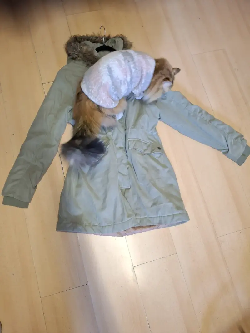 Parka Doo Australia talla XL - 2