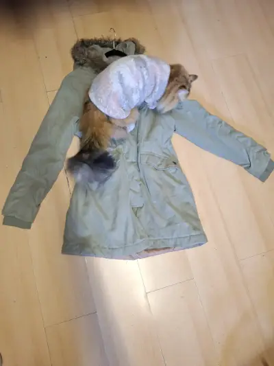 Parka Doo Australia talla XL - miniatura 2