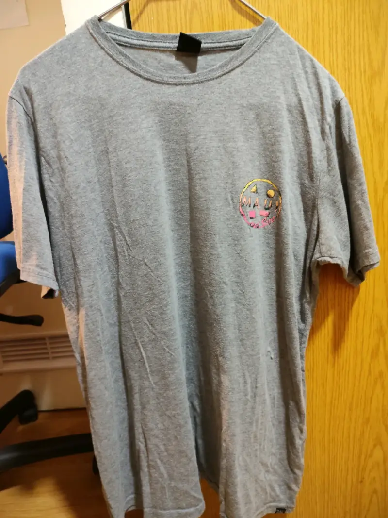 Polera gris