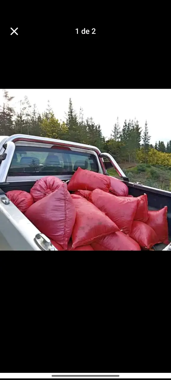 Thno y ccp Sacos de Tierra de Hoja para Jardinería - 1