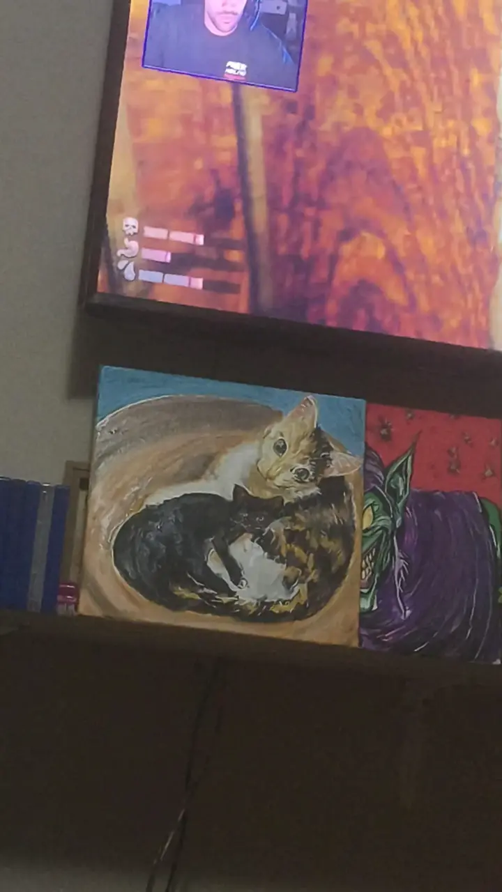 Cuadros personalizados 30x30 - 1