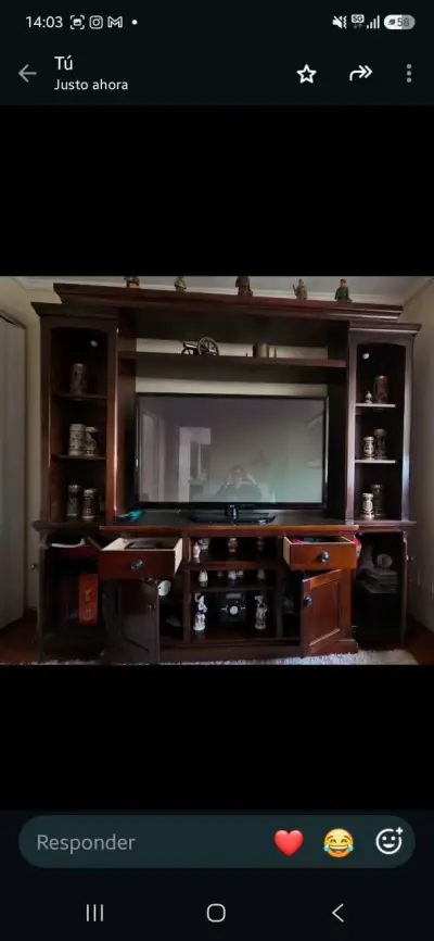 Centro de Entretenimiento de Madera Oscura - miniatura 4