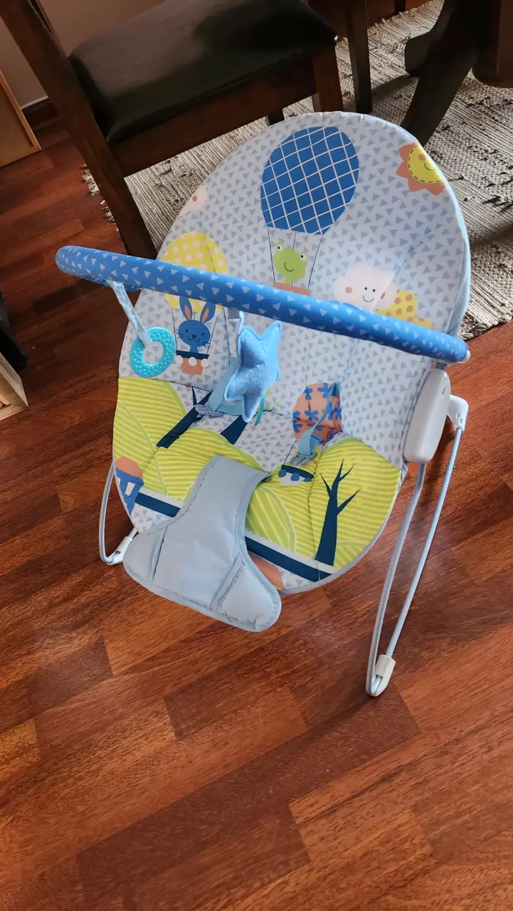 Silla Mecedora para Bebé con Diseño Colorido - 2