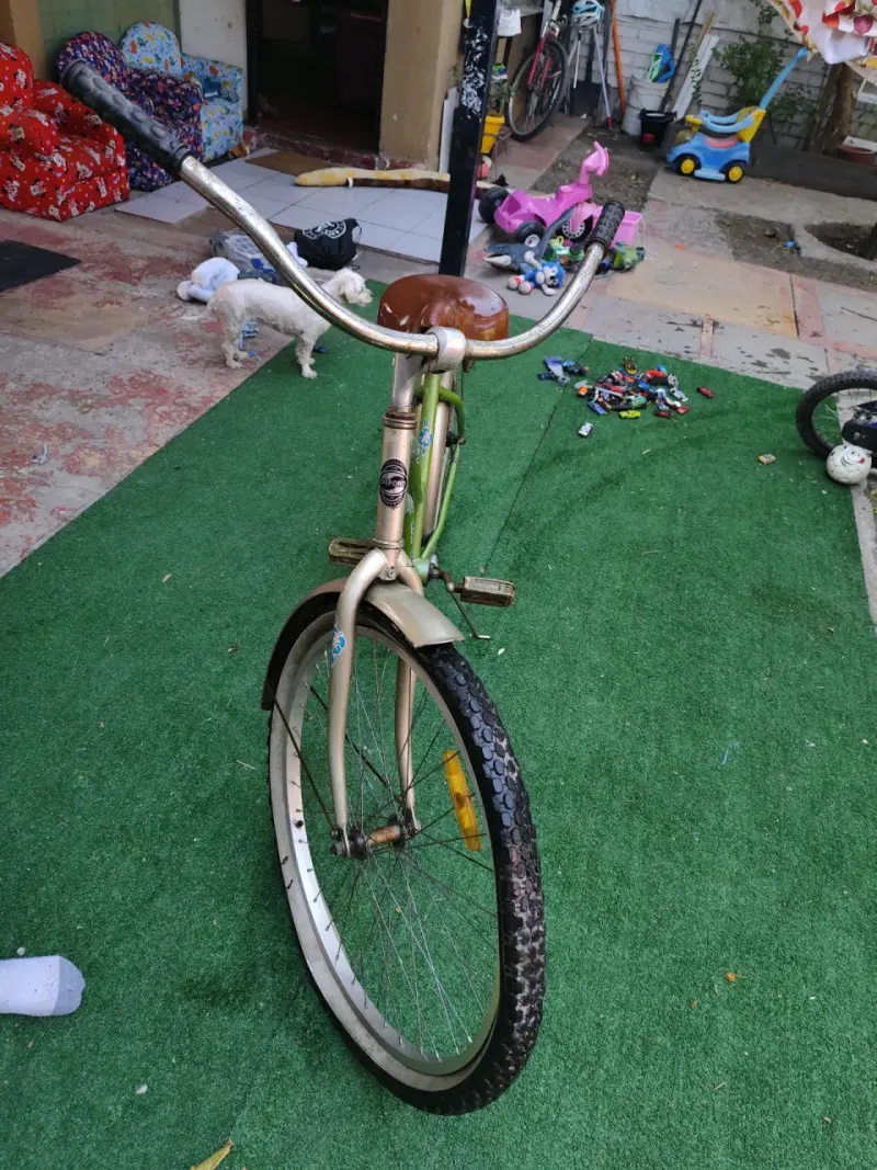 Bicicleta vintage Oxford verde con asiento marrón - 1