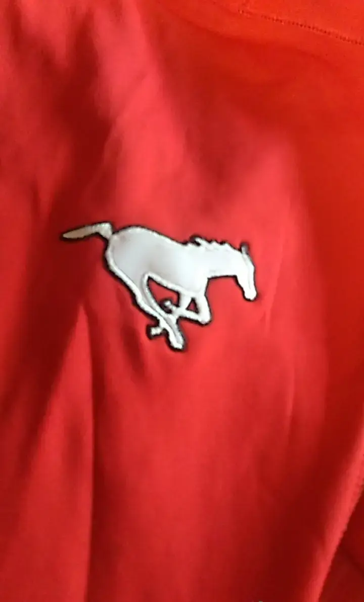 Chaqueta Reebok CFL roja con capucha - 6