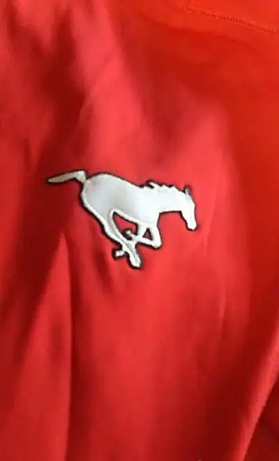 Chaqueta Reebok CFL roja con capucha - miniatura 6