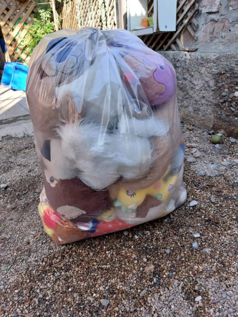 Bolsa de peluches variados en buen estado - 2