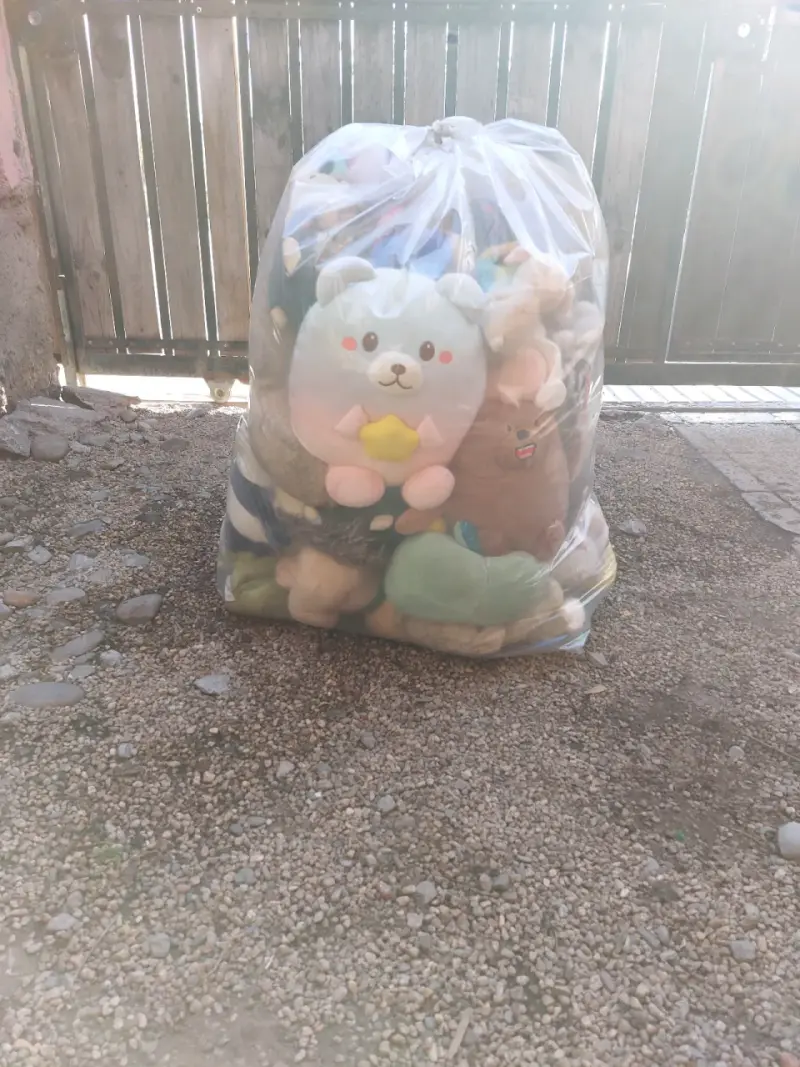 Bolsa de peluches variados en buen estado - 3