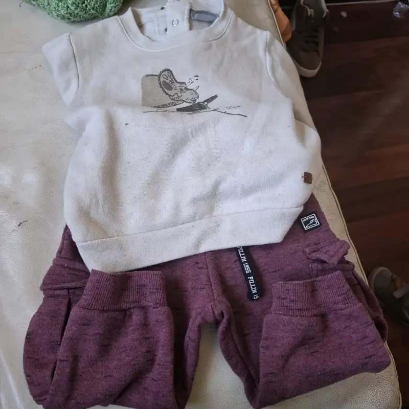 Conjunto de ropa infantil con diseño de dinosaurio