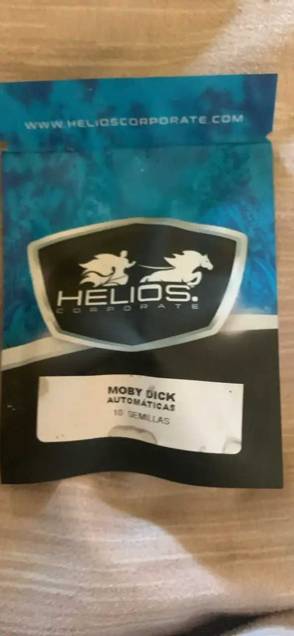 Semillas Automáticas Moby Dick Helios 10 Unidades - 1