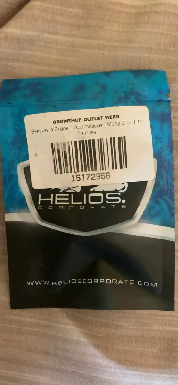 Semillas Automáticas Moby Dick Helios 10 Unidades - 2