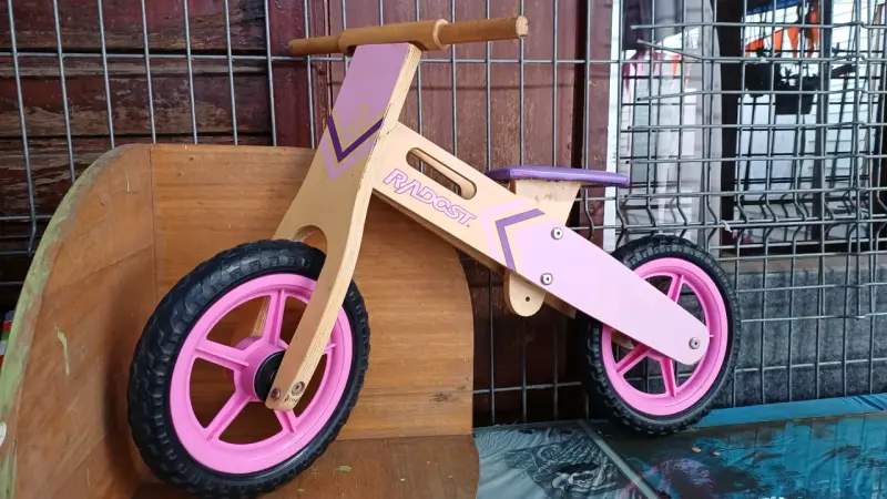 Bicicleta de equilibrio para niños Radost rosa