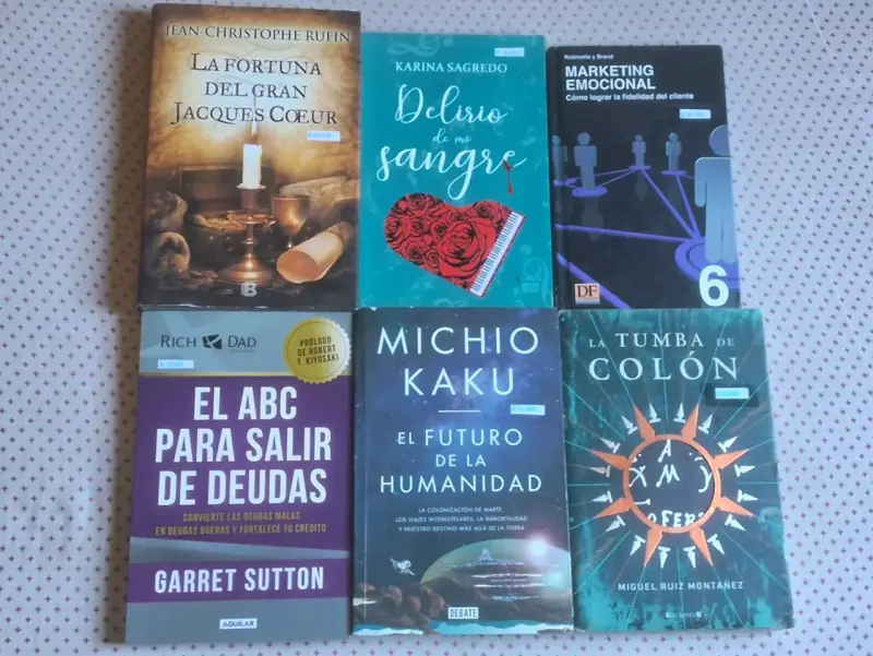 Lote de 25 libros variados - 1