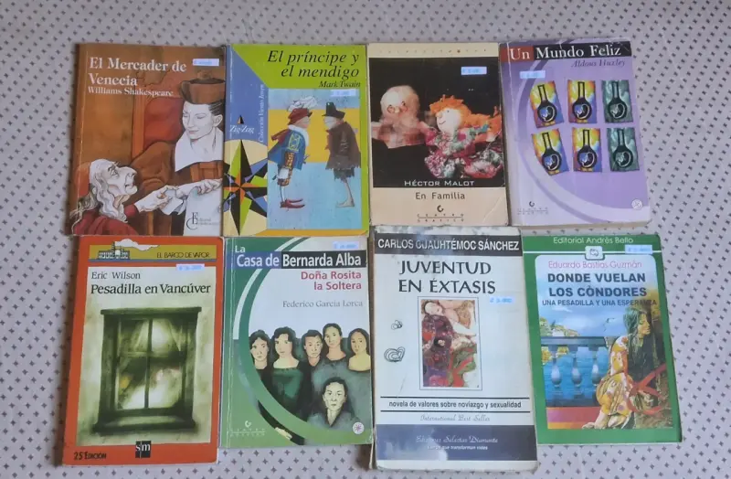 Lote de 25 libros variados - 2