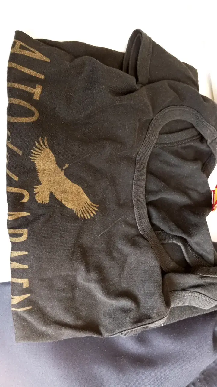 Polera negra Alto del Carmen con logo de cóndor - 1
