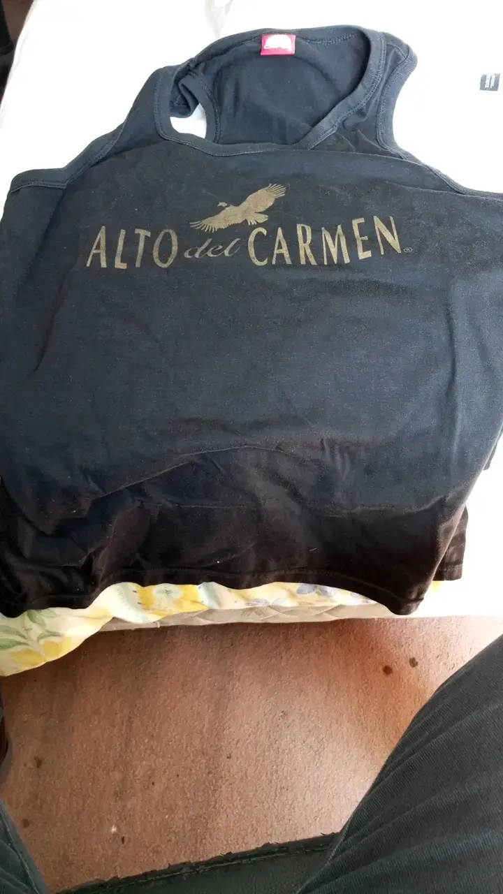 Polera negra Alto del Carmen con logo de cóndor - 3