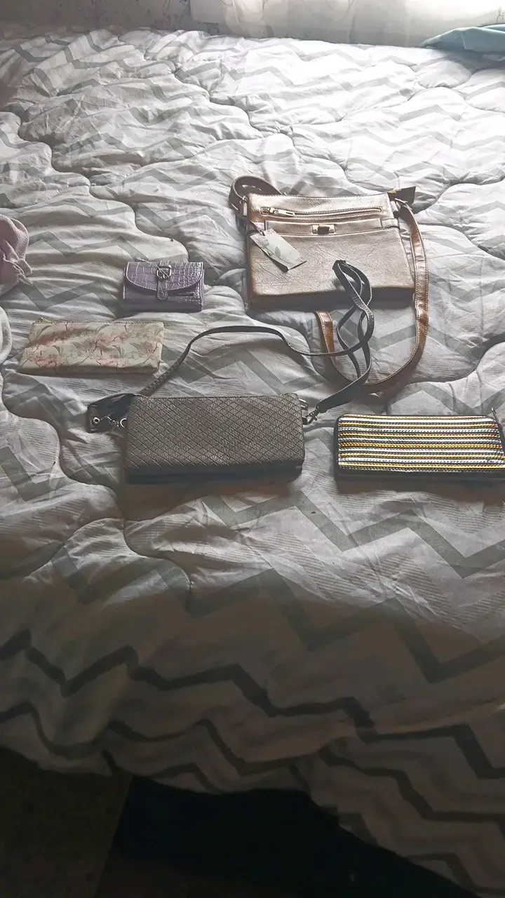 Set de Carteras y Monederos Variados - 1
