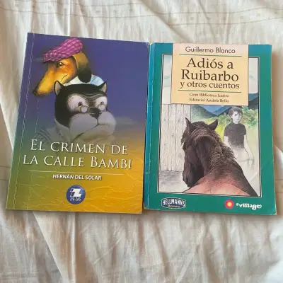 2Libros 'El Crimen de la Calle Bambi' y 'Adiós a R - miniatura 1