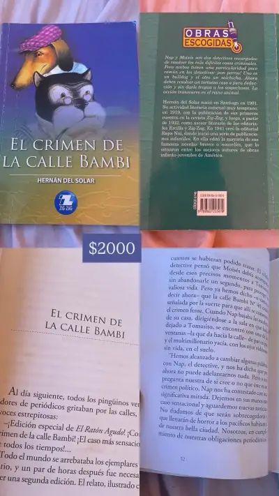 2Libros 'El Crimen de la Calle Bambi' y 'Adiós a R - miniatura 4