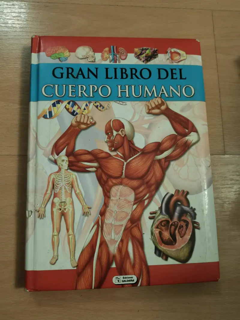 Gran Libro del Cuerpo Humano Ediciones Saldana